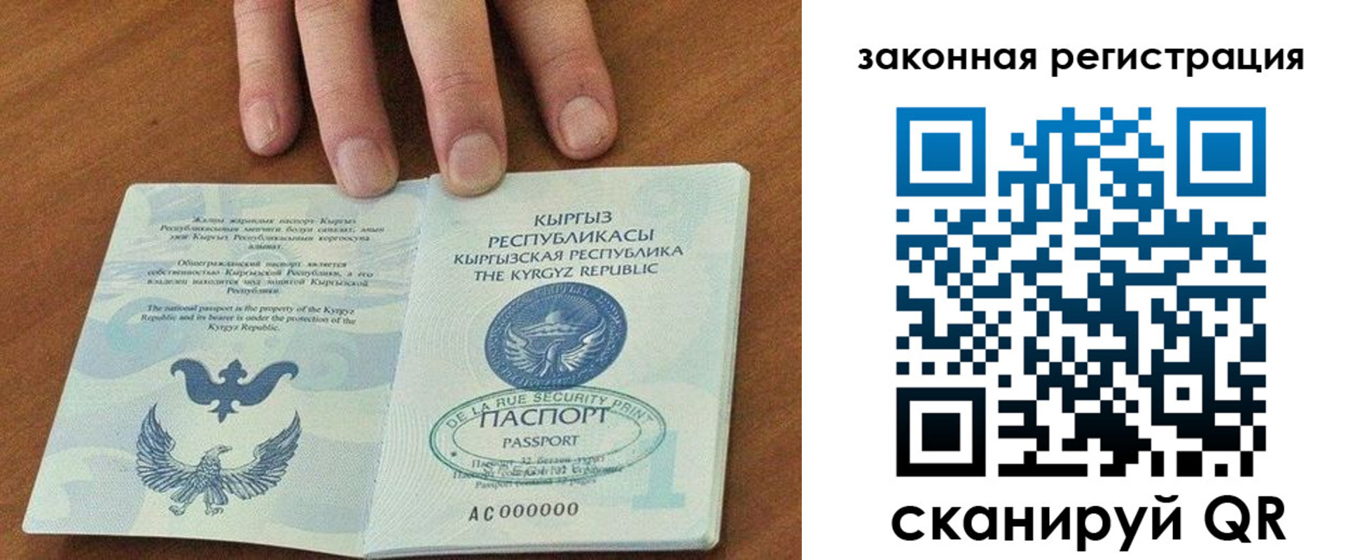 прописка гарантия в Московской области